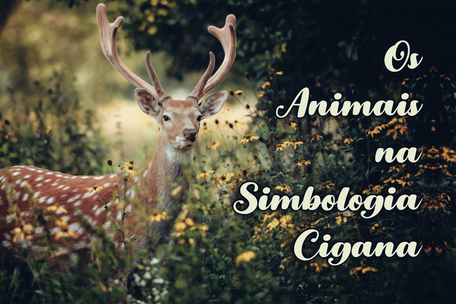 Os Animais na Simbologia Cigana