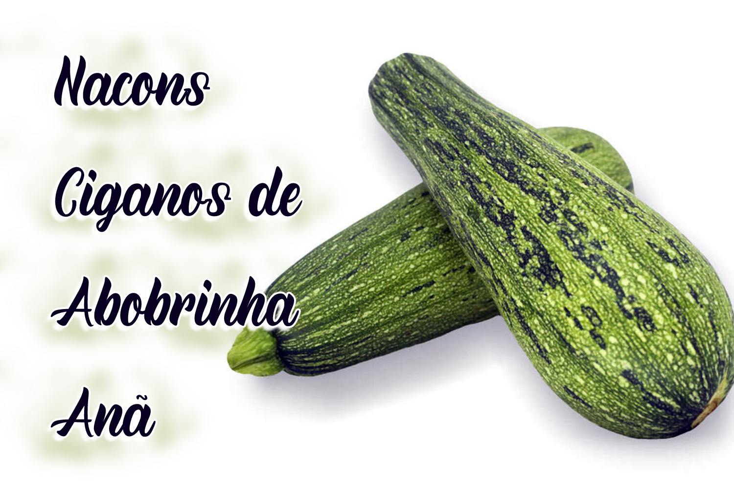 Nacons Ciganos de Abobrinha Anã