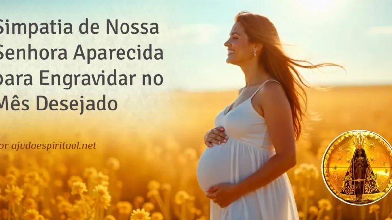 Simpatia de Nossa Senhora Aparecida para Engravidar no Mês Desejado